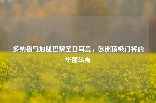 多纳鲁马加盟巴黎圣日耳曼，欧洲顶级门将的华丽转身