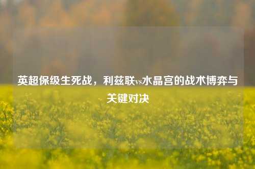 英超保级生死战，利兹联vs水晶宫的战术博弈与关键对决