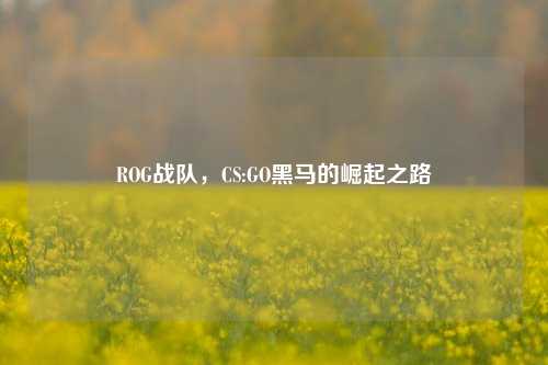 ROG战队，CS:GO黑马的崛起之路