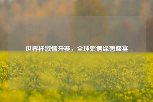 世界杯激情开赛，全球聚焦绿茵盛宴