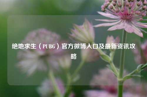 绝地求生（PUBG）官方微博入口及最新资讯攻略