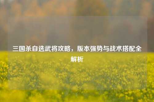 三国杀自选武将攻略，版本强势与战术搭配全解析