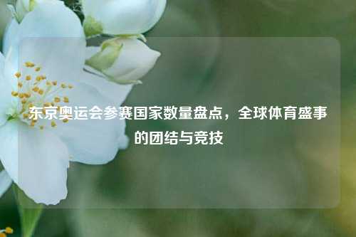 东京奥运会参赛国家数量盘点，全球体育盛事的团结与竞技