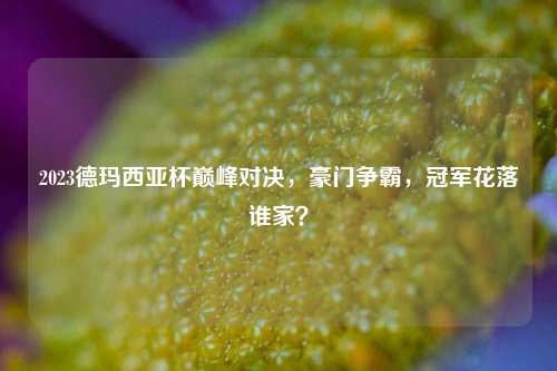 2023德玛西亚杯巅峰对决，豪门争霸，冠军花落谁家？