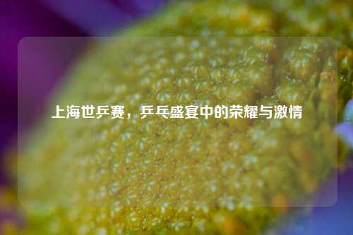 上海世乒赛，乒乓盛宴中的荣耀与激情