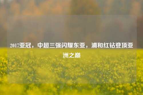 2017亚冠，中超三强闪耀东亚，浦和红钻登顶亚洲之巅
