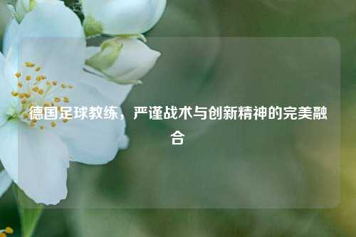 德国足球教练，严谨战术与创新精神的完美融合