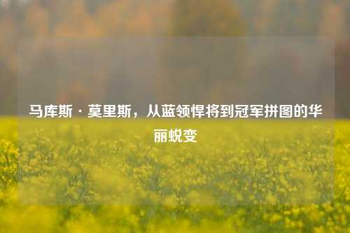 马库斯·莫里斯，从蓝领悍将到冠军拼图的华丽蜕变