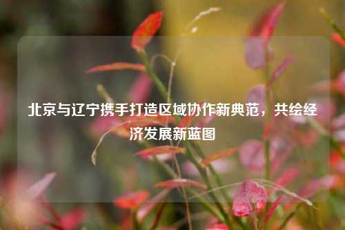 北京与辽宁携手打造区域协作新典范，共绘经济发展新蓝图