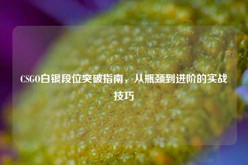 CSGO白银段位突破指南，从瓶颈到进阶的实战技巧