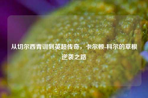 从切尔西青训到英超传奇，卡尔顿-科尔的草根逆袭之路
