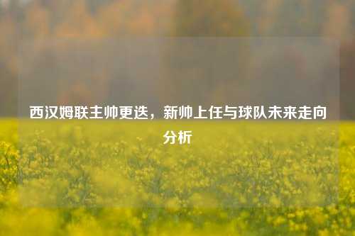 西汉姆联主帅更迭，新帅上任与球队未来走向分析