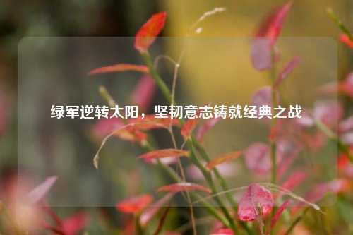 绿军逆转太阳，坚韧意志铸就经典之战