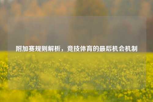 附加赛规则解析，竞技体育的最后机会机制