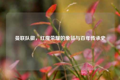 曼联队徽，红魔荣耀的象征与百年传承史