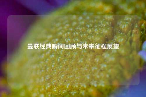 曼联经典瞬间回顾与未来征程展望