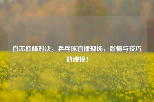 直击巅峰对决，乒乓球直播现场，激情与技巧的碰撞！
