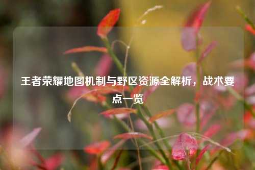 王者荣耀地图机制与野区资源全解析，战术要点一览
