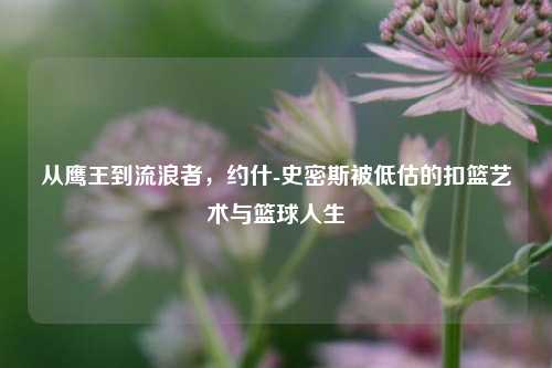 从鹰王到流浪者，约什-史密斯被低估的扣篮艺术与篮球人生