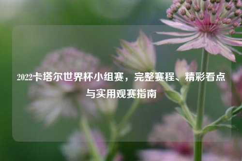 2022卡塔尔世界杯小组赛，完整赛程、精彩看点与实用观赛指南