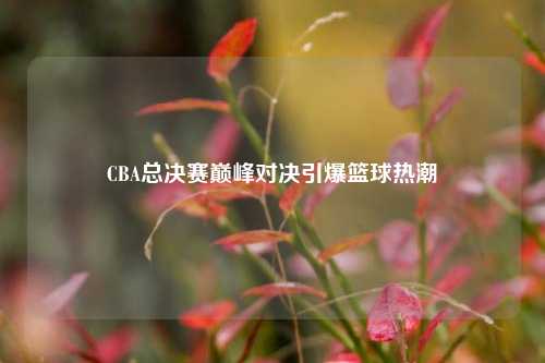 CBA总决赛巅峰对决引爆篮球热潮