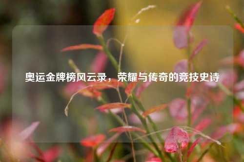 奥运金牌榜风云录，荣耀与传奇的竞技史诗