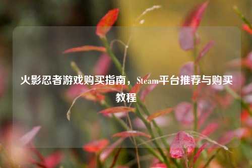 火影忍者游戏购买指南，Steam平台推荐与购买教程