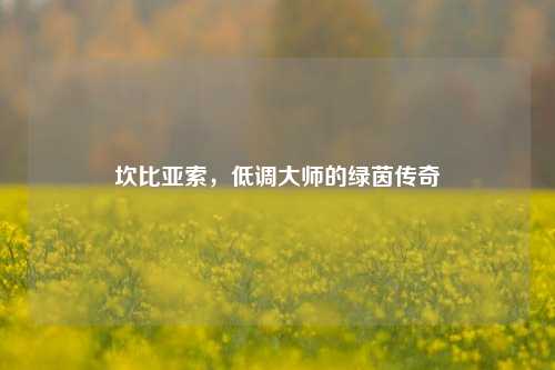 坎比亚索，低调大师的绿茵传奇