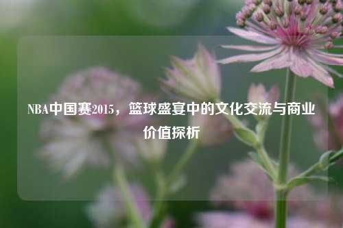 NBA中国赛2015，篮球盛宴中的文化交流与商业价值探析