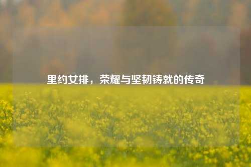 里约女排，荣耀与坚韧铸就的传奇