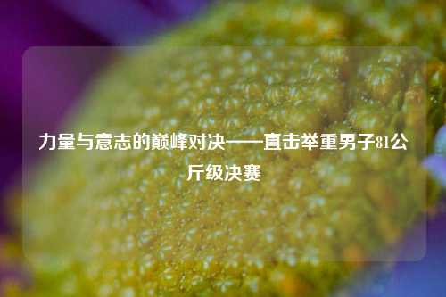 力量与意志的巅峰对决——直击举重男子81公斤级决赛