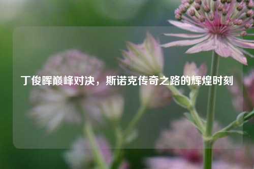 丁俊晖巅峰对决，斯诺克传奇之路的辉煌时刻