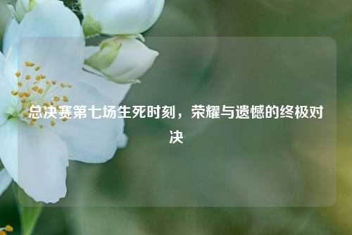 总决赛第七场生死时刻，荣耀与遗憾的终极对决