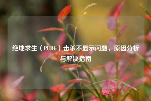 绝地求生（PUBG）击杀不显示问题，原因分析与解决指南