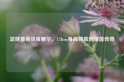 足球皇帝贝肯鲍尔，178cm身高铸就的绿茵传奇