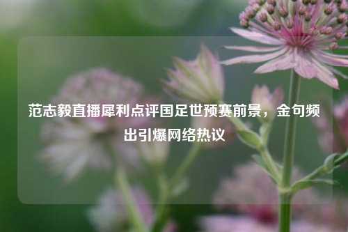 范志毅直播犀利点评国足世预赛前景，金句频出引爆网络热议