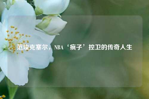 范埃克塞尔，NBA‘疯子’控卫的传奇人生