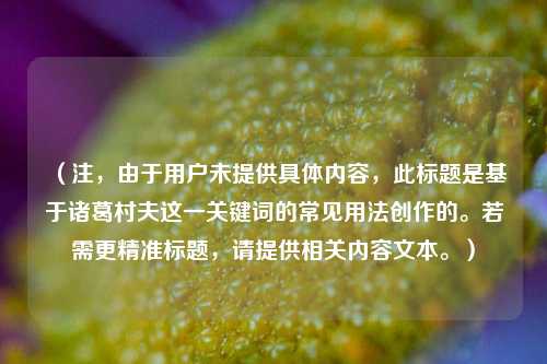 （注，由于用户未提供具体内容，此标题是基于诸葛村夫这一关键词的常见用法创作的。若需更精准标题，请提供相关内容文本。）