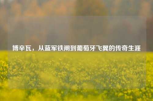 博辛瓦，从蓝军铁闸到葡萄牙飞翼的传奇生涯