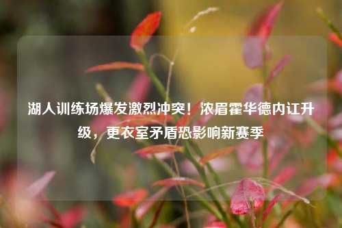 湖人训练场爆发激烈冲突！浓眉霍华德内讧升级，更衣室矛盾恐影响新赛季