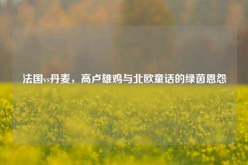法国vs丹麦，高卢雄鸡与北欧童话的绿茵恩怨