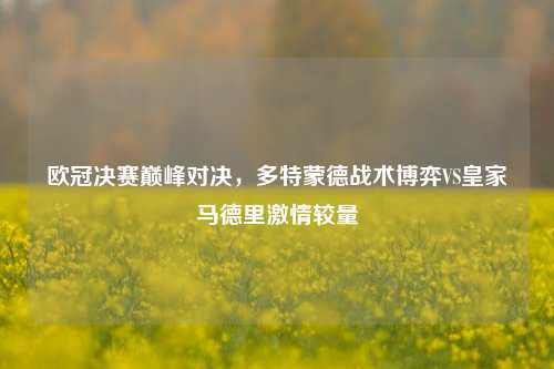欧冠决赛巅峰对决，多特蒙德战术博弈VS皇家马德里激情较量