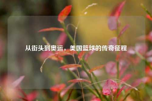从街头到奥运，美国篮球的传奇征程