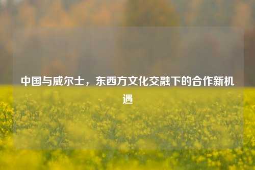 中国与威尔士，东西方文化交融下的合作新机遇