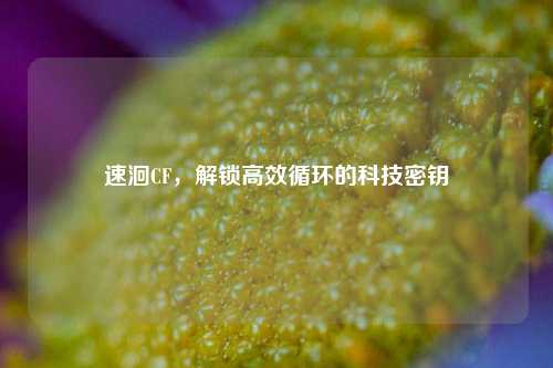 速洄CF，解锁高效循环的科技密钥