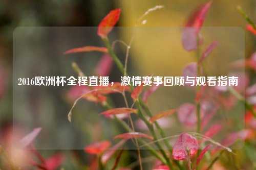 2016欧洲杯全程直播，激情赛事回顾与观看指南