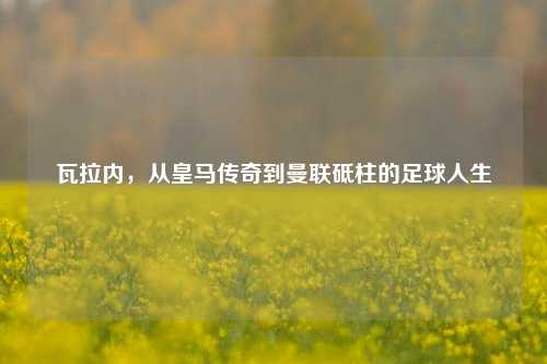 瓦拉内，从皇马传奇到曼联砥柱的足球人生