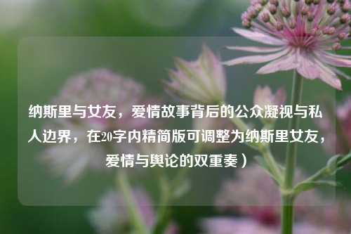 纳斯里与女友，爱情故事背后的公众凝视与私人边界，在20字内精简版可调整为纳斯里女友，爱情与舆论的双重奏）