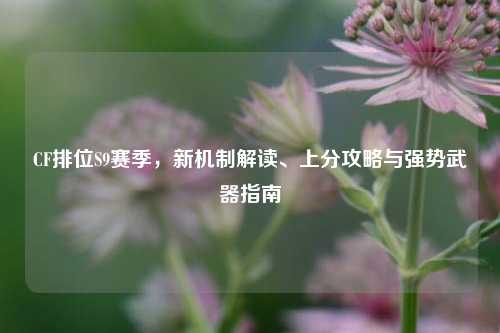 CF排位S9赛季，新机制解读、上分攻略与强势武器指南