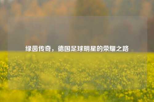 绿茵传奇，德国足球明星的荣耀之路